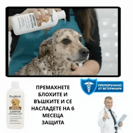 Професионален 4-в-1 шампоан - DogWash™