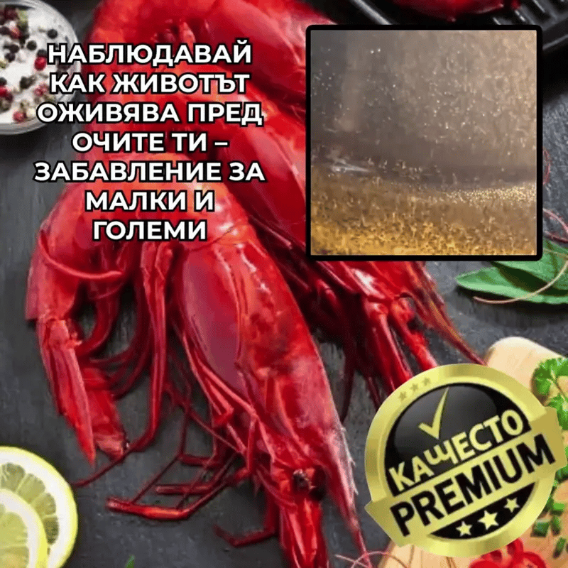 AquaLife™ – Живи Водни Създания У Дома
