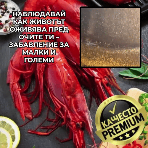 AquaLife™ – Живи Водни Създания У Дома