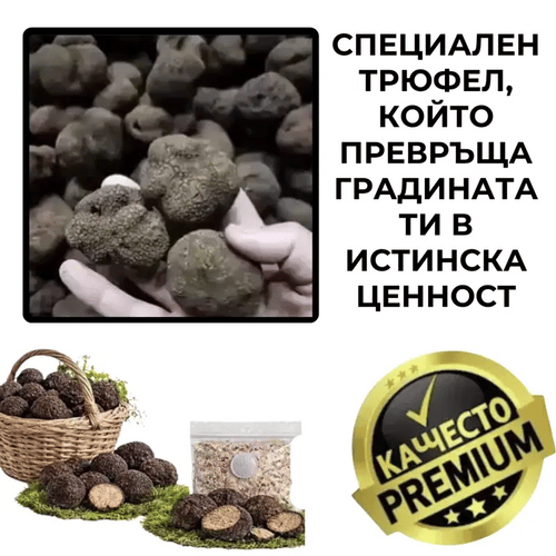 Градински трюфелен мицел TrufaGrow™